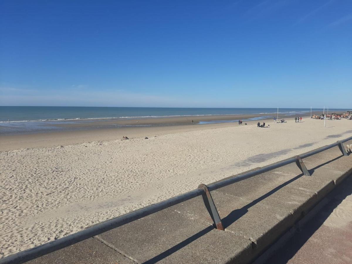 Villa 100 M Du Touquet Entre Foret Et Mer 쿠크 외부 사진